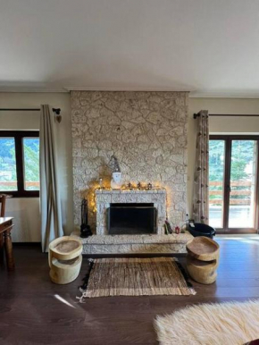 the mountain house in parnassus